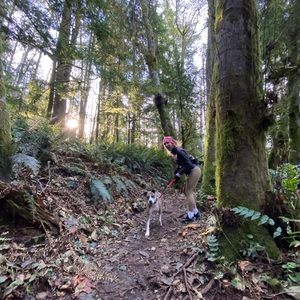 Meet your Posher, Danika